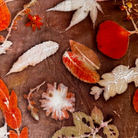 Introduction to Eco Printing and Mordants to Enhance the Botanical Print- Workshop