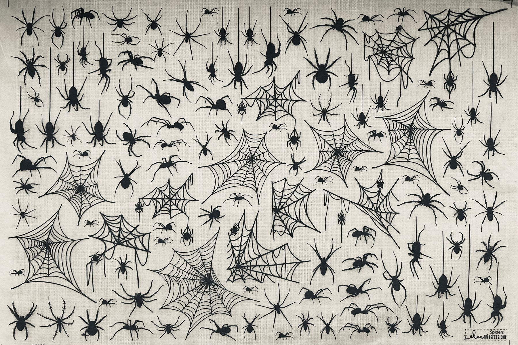 Spiders - Underglaze Transfer Sheet
