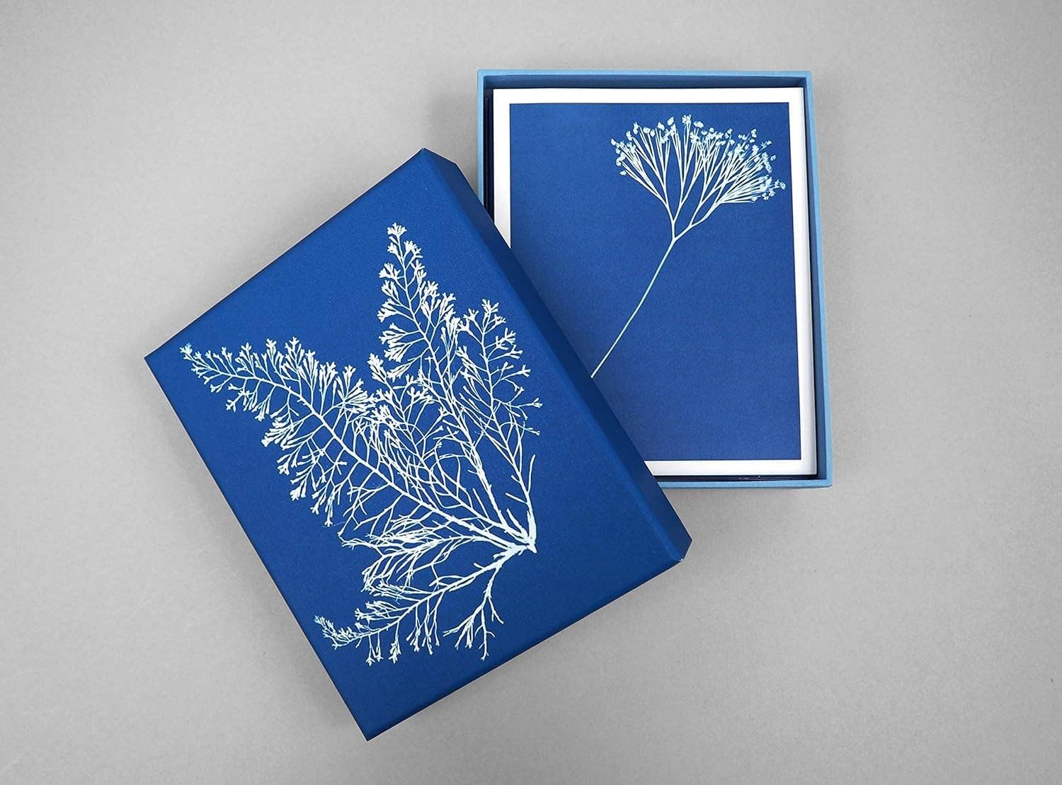 Sunprint Notecards